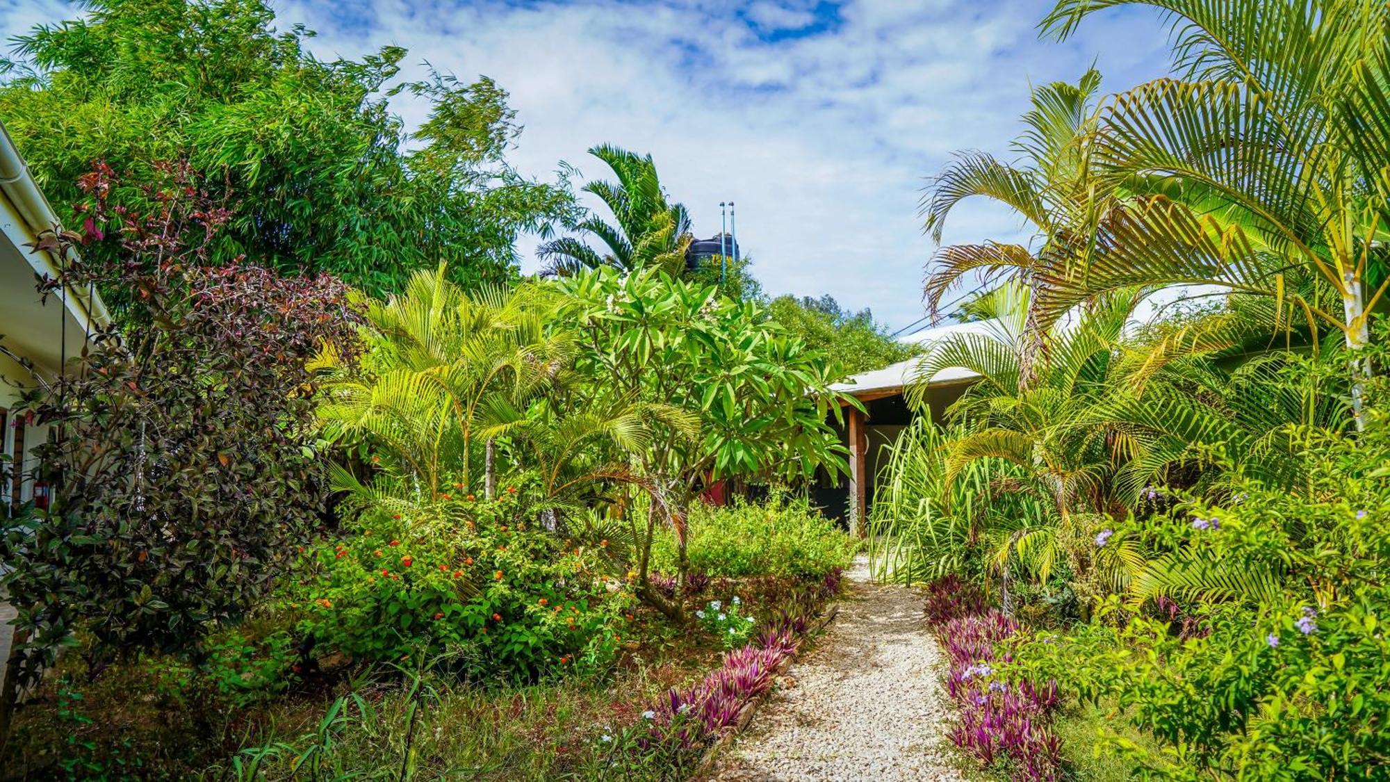 Nungwi House Bed and Breakfast Exterior foto